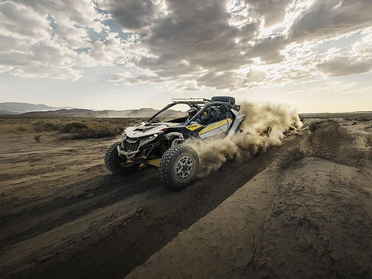 Maverick R